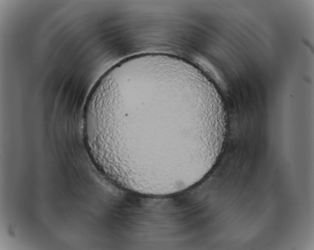 X0000091341284200708311449