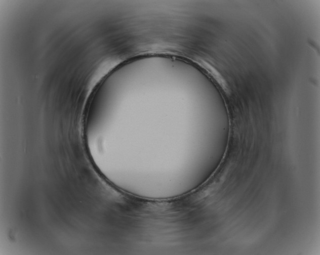 X0000091341285200708311449