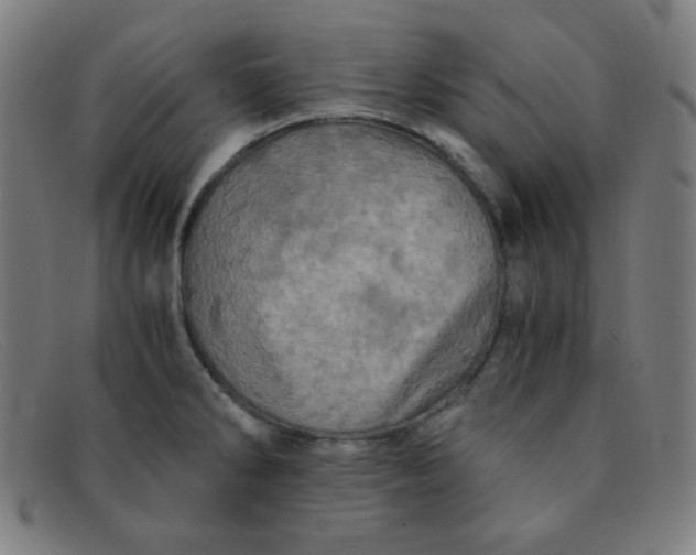 X0000091341286200708311449