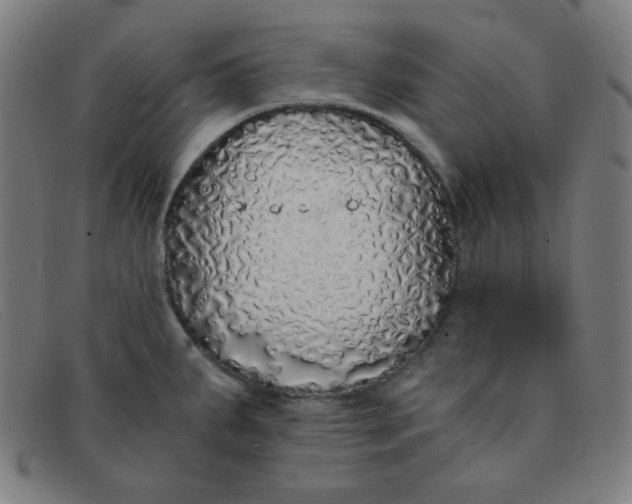 X0000091341287200708311449