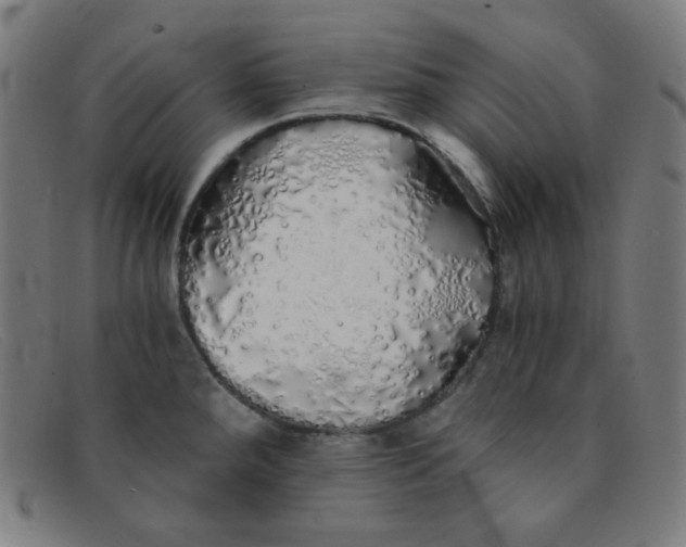 X0000091341288200708311449