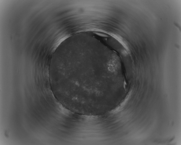 X0000091341289200708311449