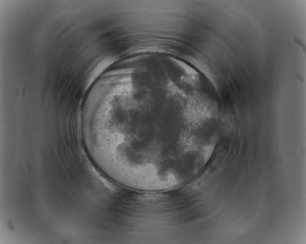 X0000091341290200708311449