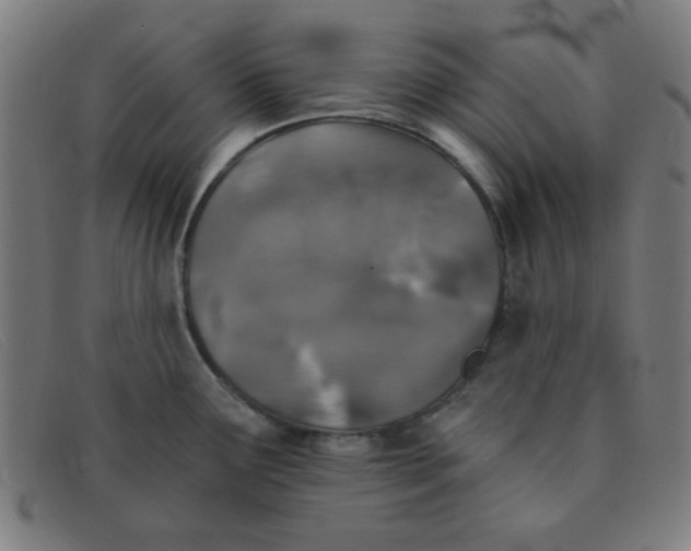 X0000091341291200708311449