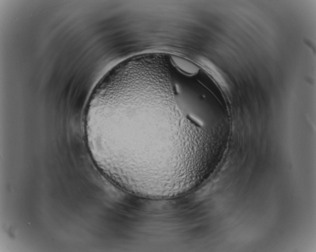 X0000091341292200708311449