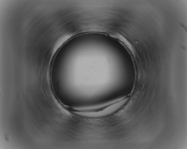 X0000091341293200708311449