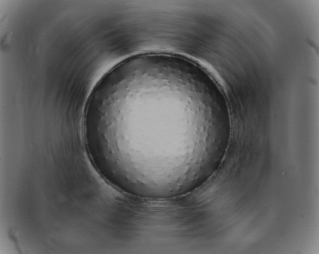 X0000091341295200708311449