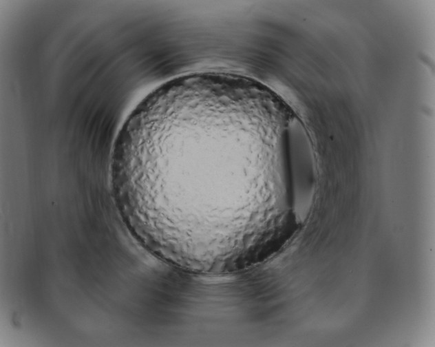 X0000091341296200708311449