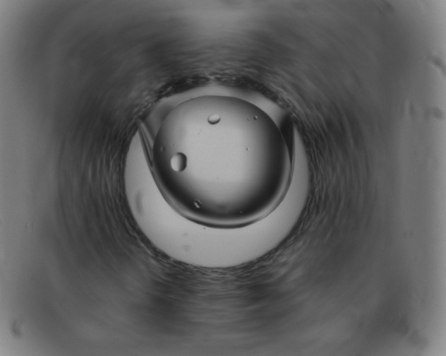 X0000091341298200708311448