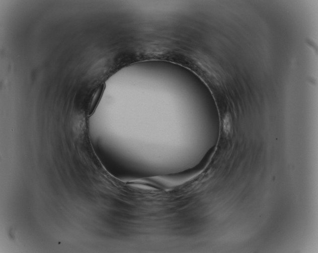 X0000091341299200708311448