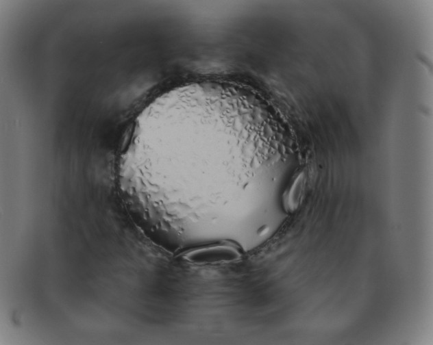 X0000091341301200708311448