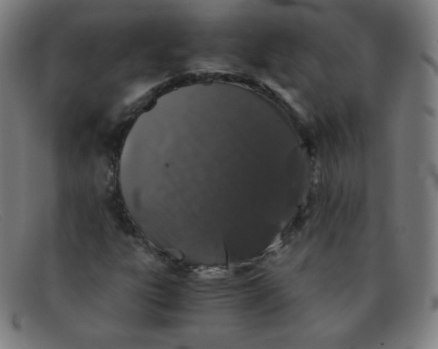 X0000091341303200708311448