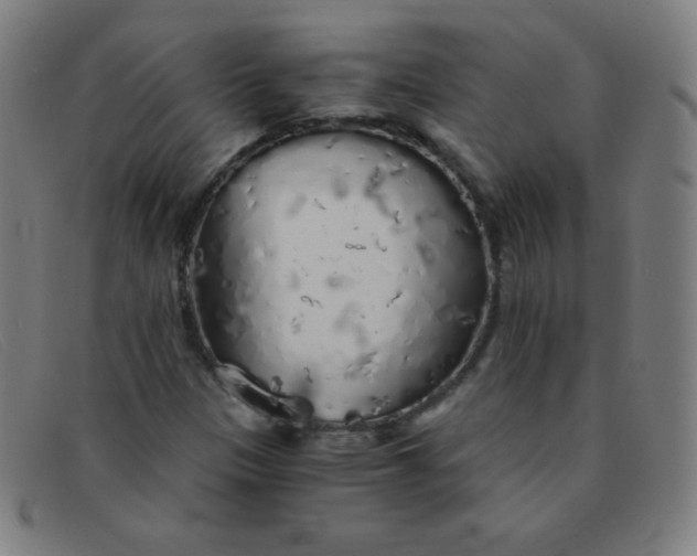 X0000091341305200708311448