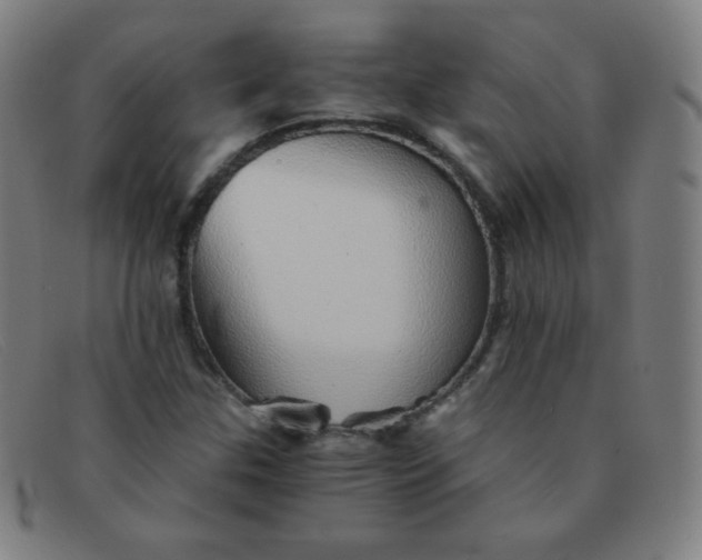 X0000091341307200708311448