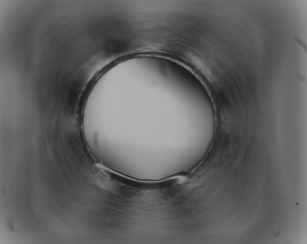 X0000091341308200708311448