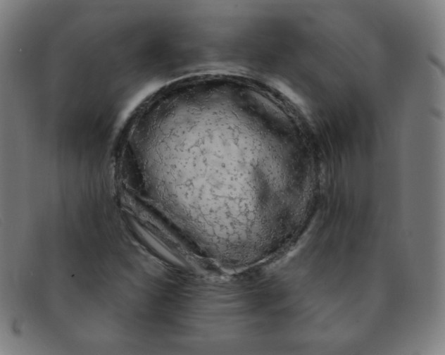 X0000091341310200708311448