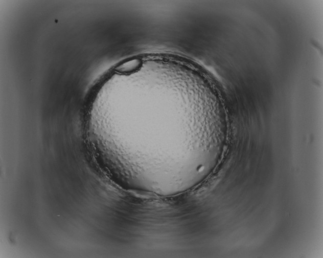 X0000091341311200708311448