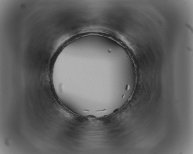 X0000091341312200708311448