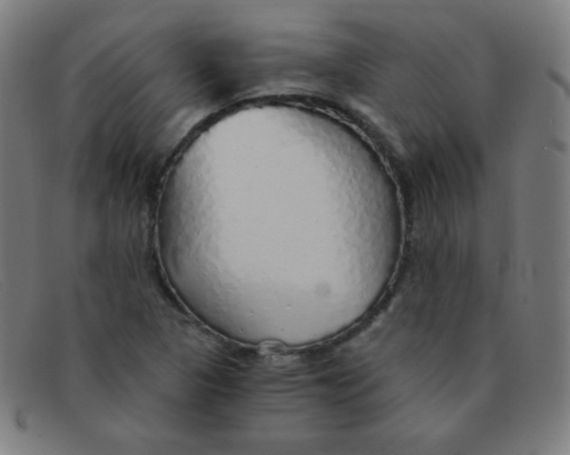 X0000091341313200708311448