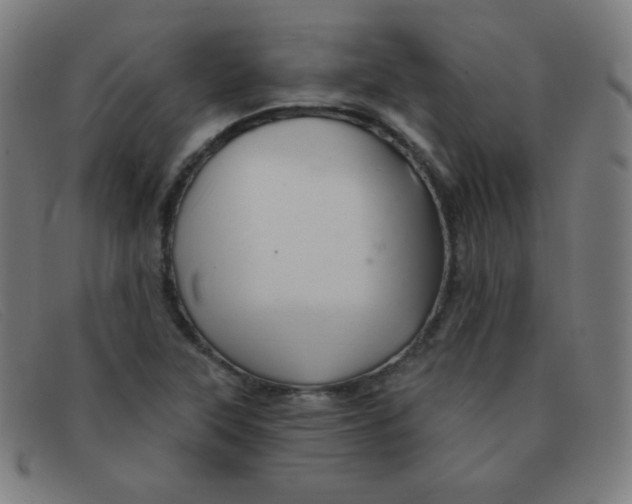 X0000091341315200708311448