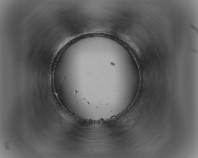 X0000091341316200708311448