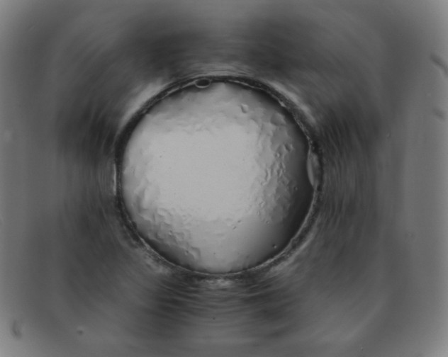 X0000091341317200708311448