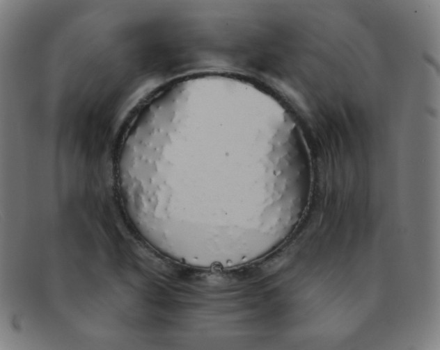 X0000091341318200708311448