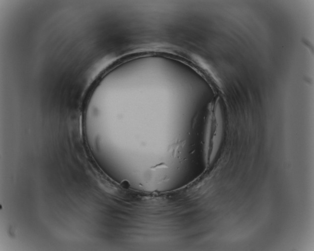 X0000091341320200708311448