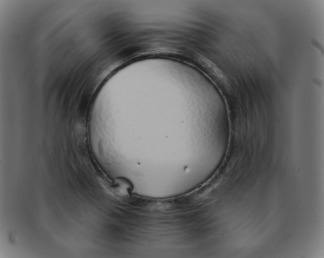 X0000091341321200708311448