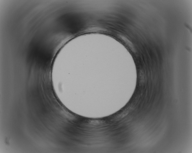 X0000091341322200708311448