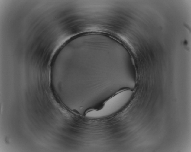 X0000091341323200708311448