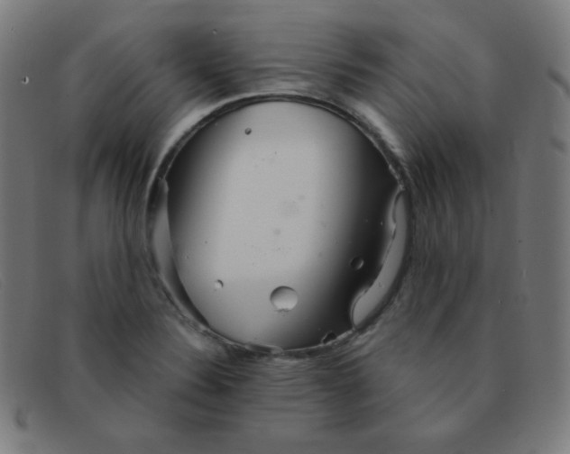 X0000091341324200708311448