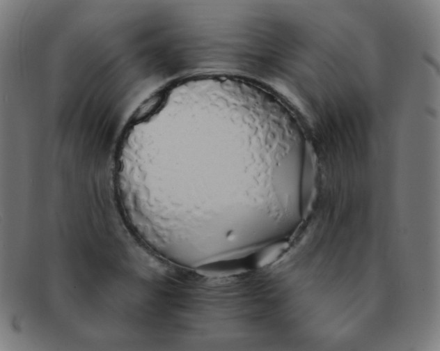 X0000091341325200708311448