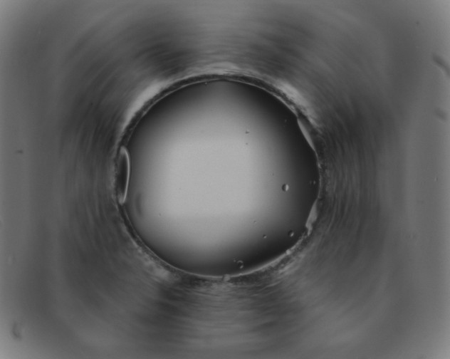 X0000091341326200708311448