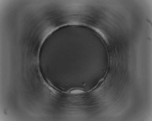 X0000091341327200708311448