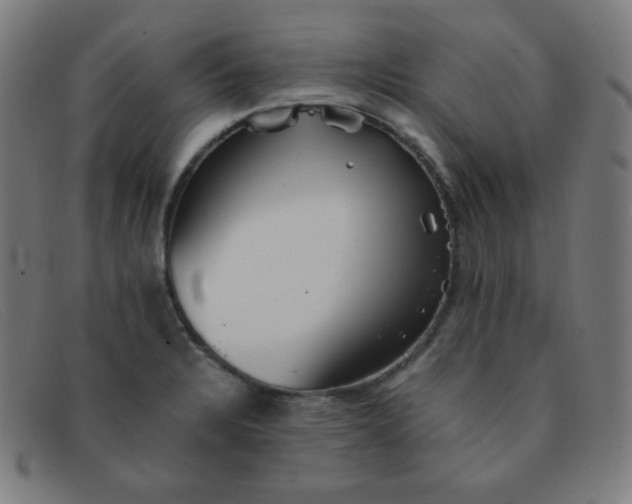 X0000091341328200708311448