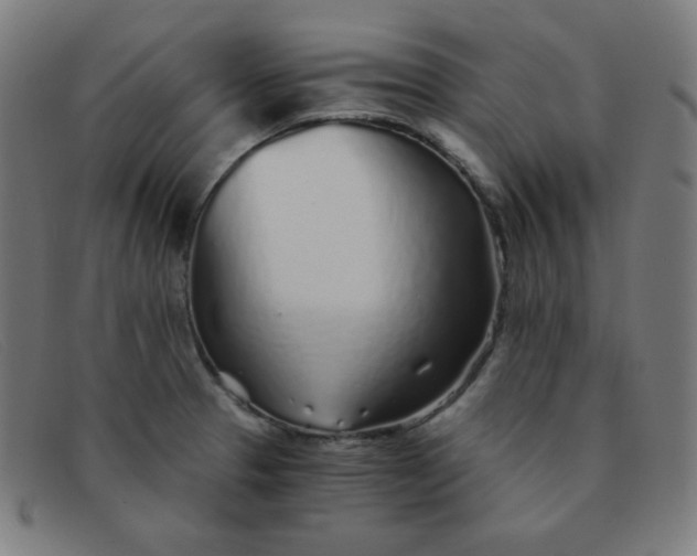 X0000091341329200708311448