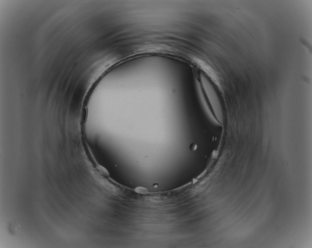 X0000091341330200708311449