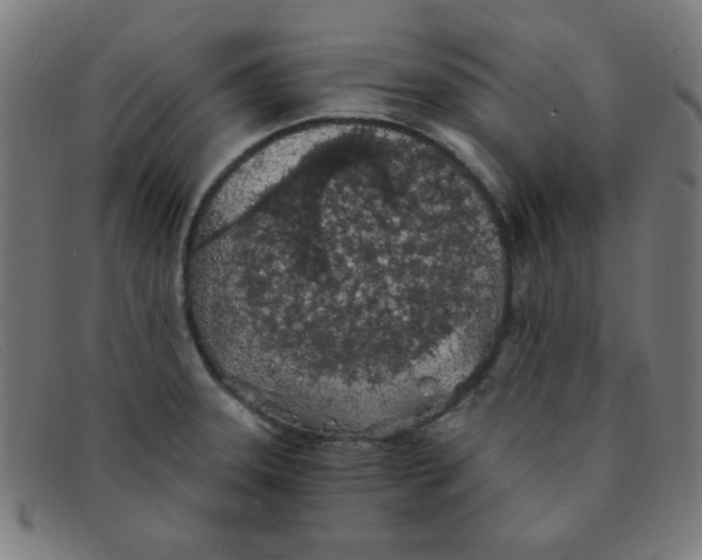 X0000091341331200708311449