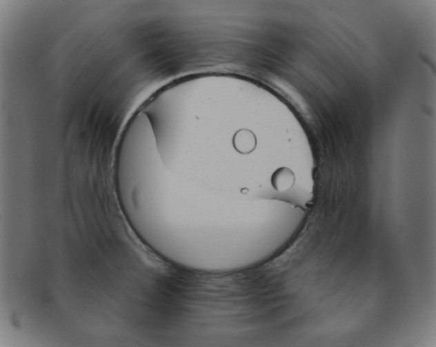 X0000091341332200708311449