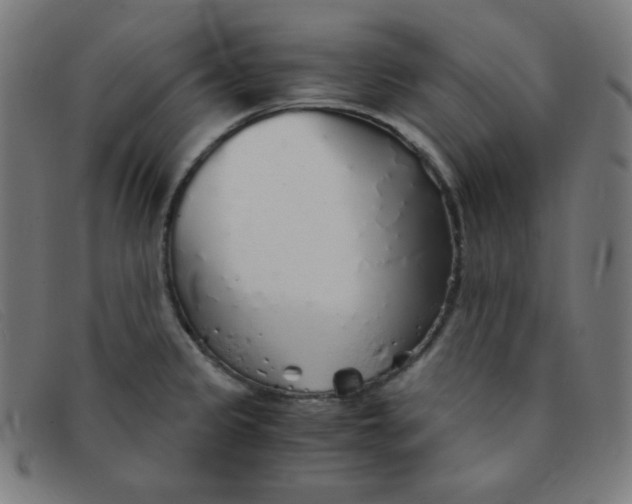 X0000091341333200708311449