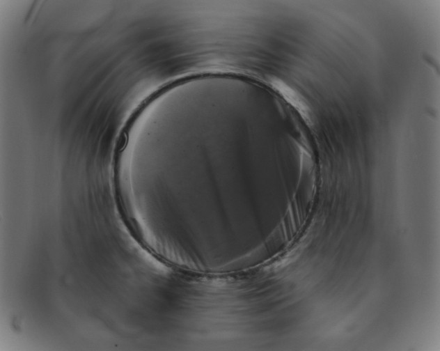 X0000091341334200708311449