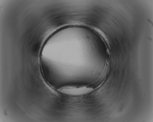 X0000091341335200708311449