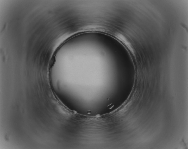 X0000091341336200708311449