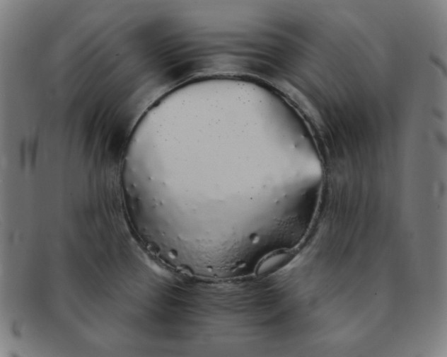 X0000091341337200708311449