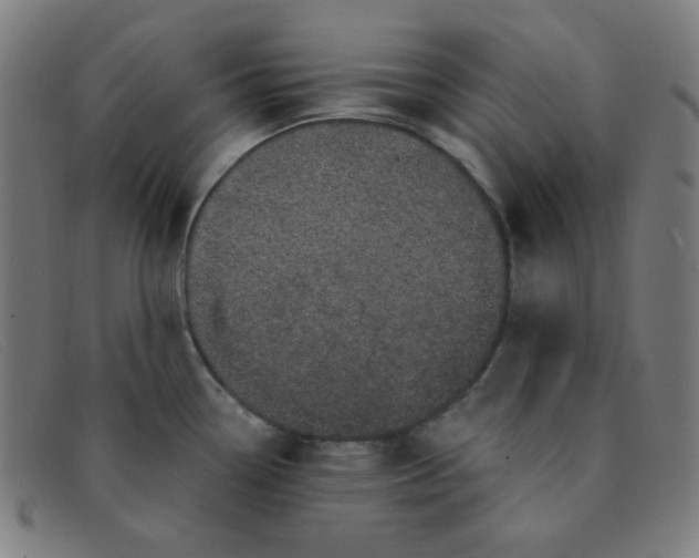 X0000091341338200708311449