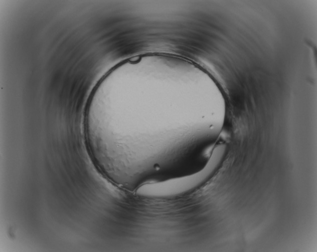 X0000091341339200708311449