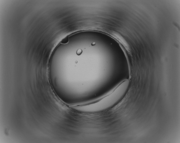 X0000091341340200708311449