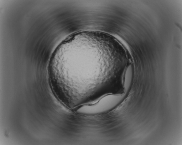 X0000091341341200708311449