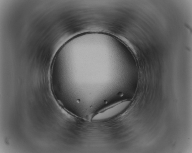 X0000091341343200708311449